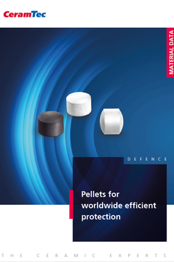 Titelbild der Broschüre für Schutz-Pellets